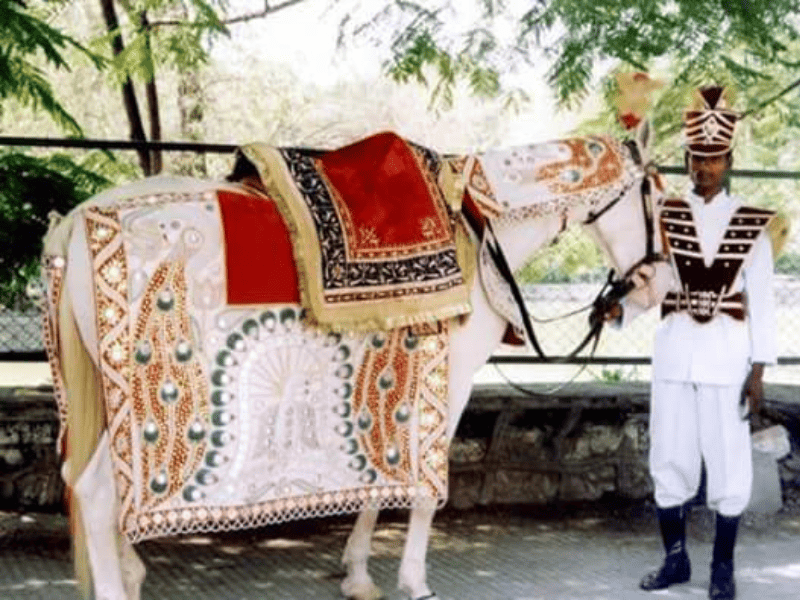 Ghori